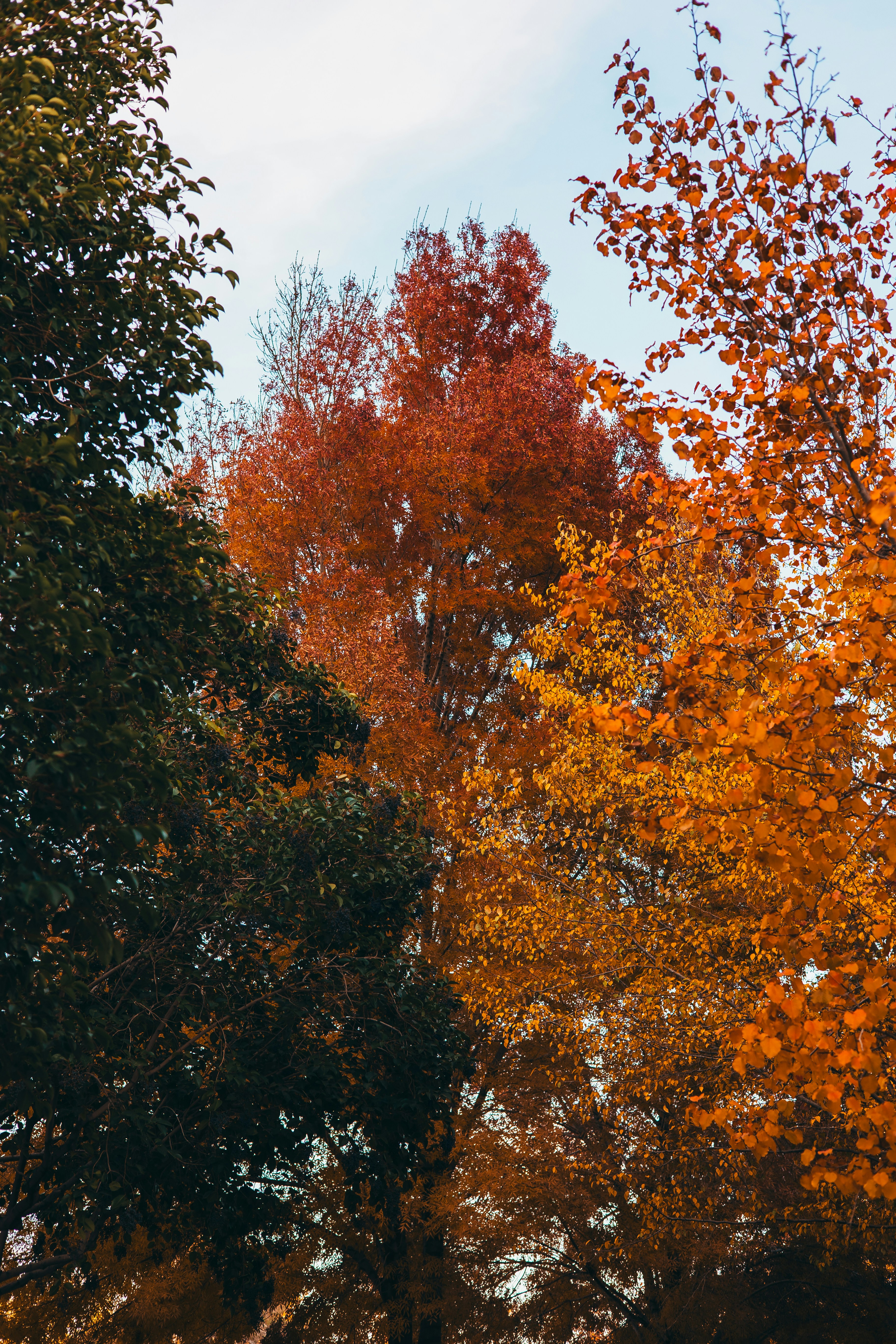 Photo by nathanmortn