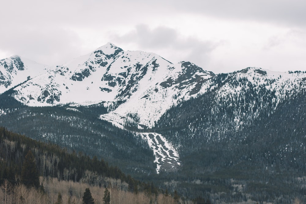 eine schneebedeckte Bergkette mit Bäumen im Vordergrund