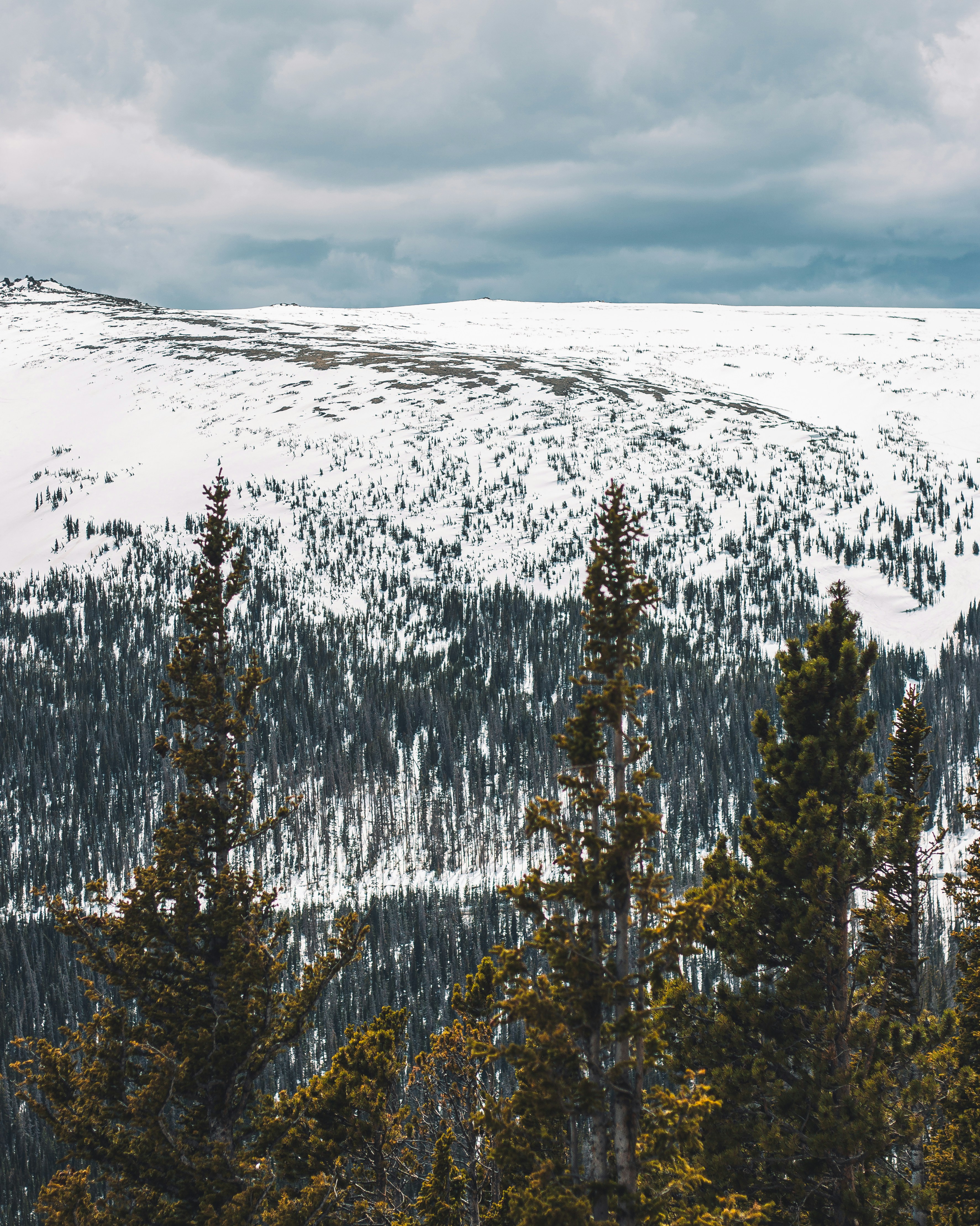 Photo by nathanmortn