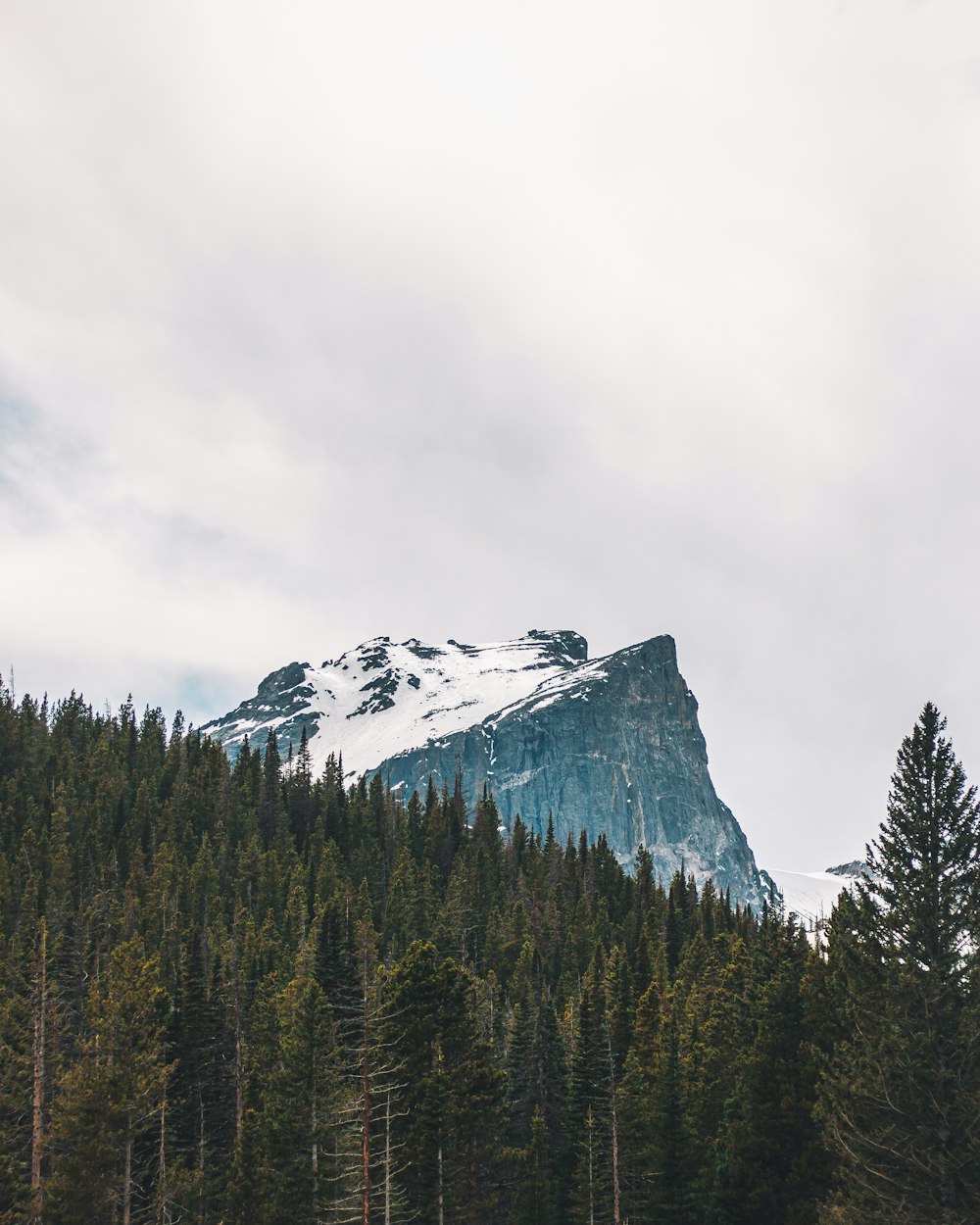 a snow covered mountain surrounded by pine trees