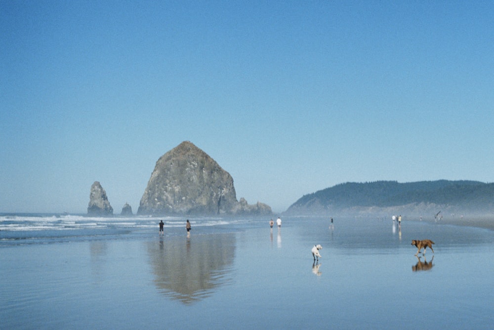 a group of people walking along a beach next to the ocean