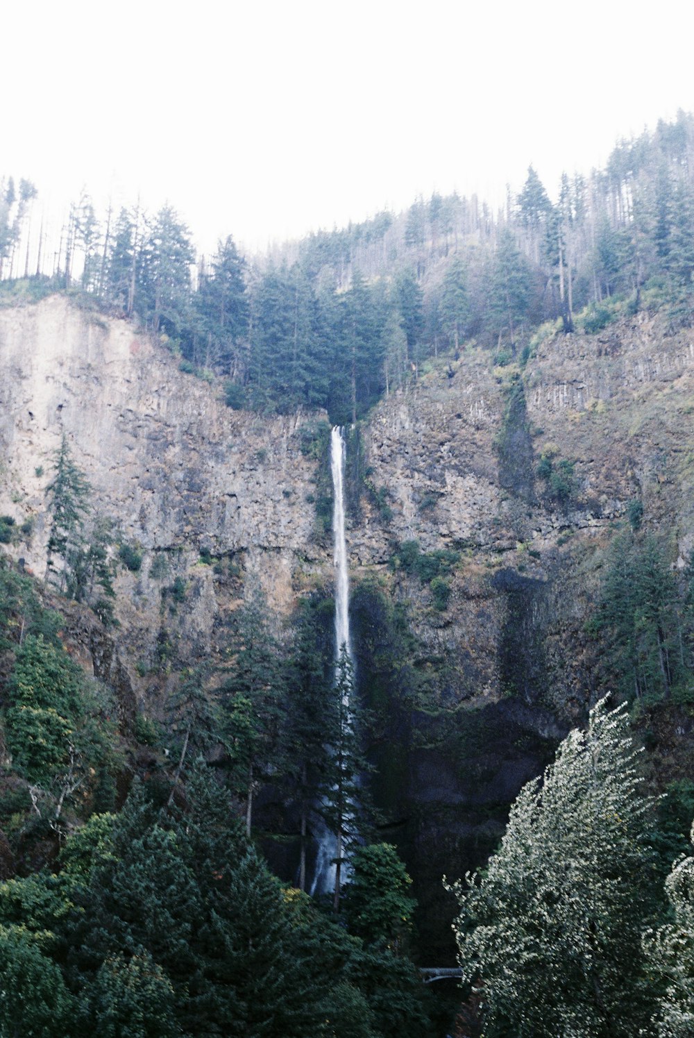 a waterfall in the middle of a forest