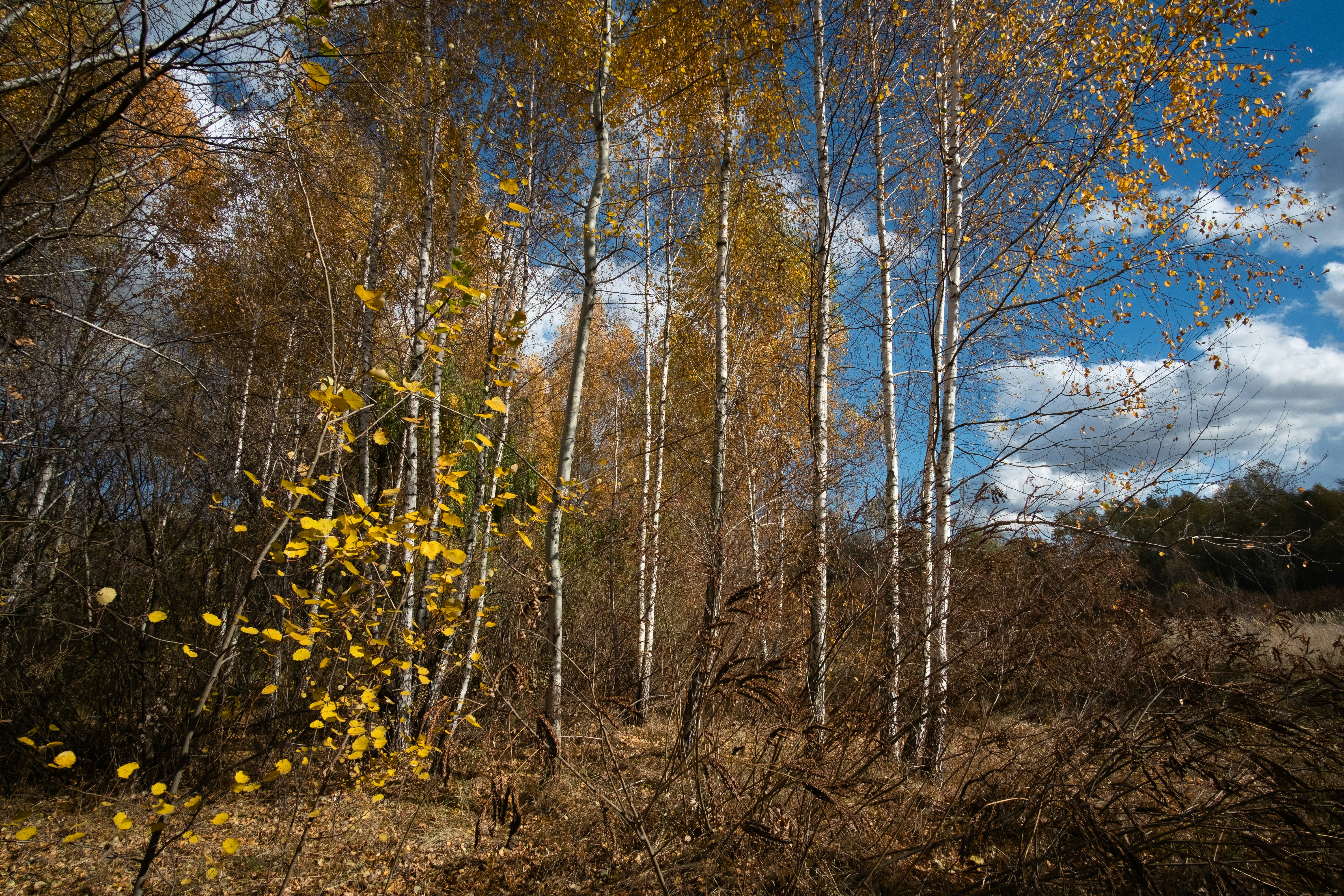 Photo by sevencolors