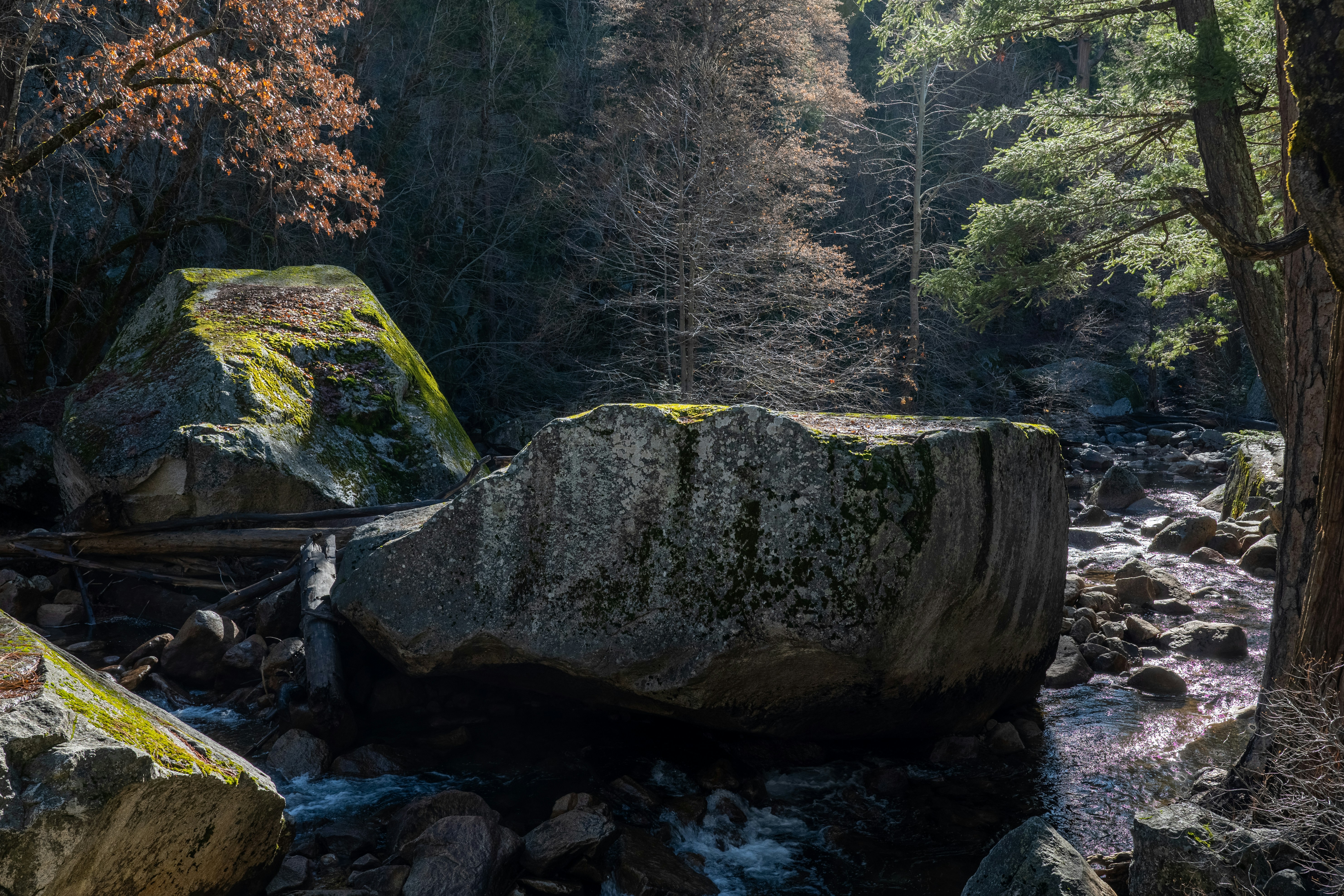A large rock sitting on top of a river next to a forest photo – Free ...