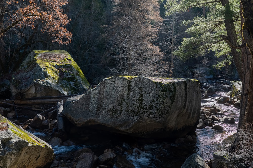 a large rock sitting on top of a river next to a forest