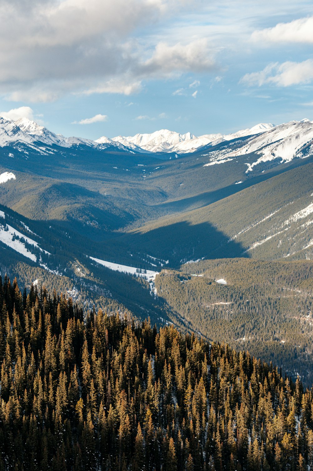 a view of a mountain range with trees in the foreground