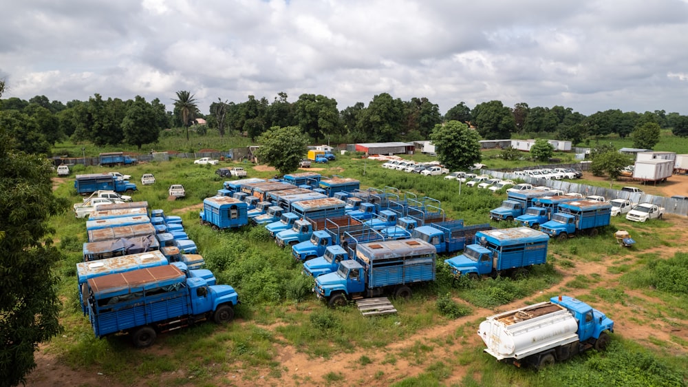 a group of blue trucks parked in a field