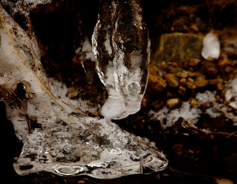 a piece of ice sitting on top of a rock