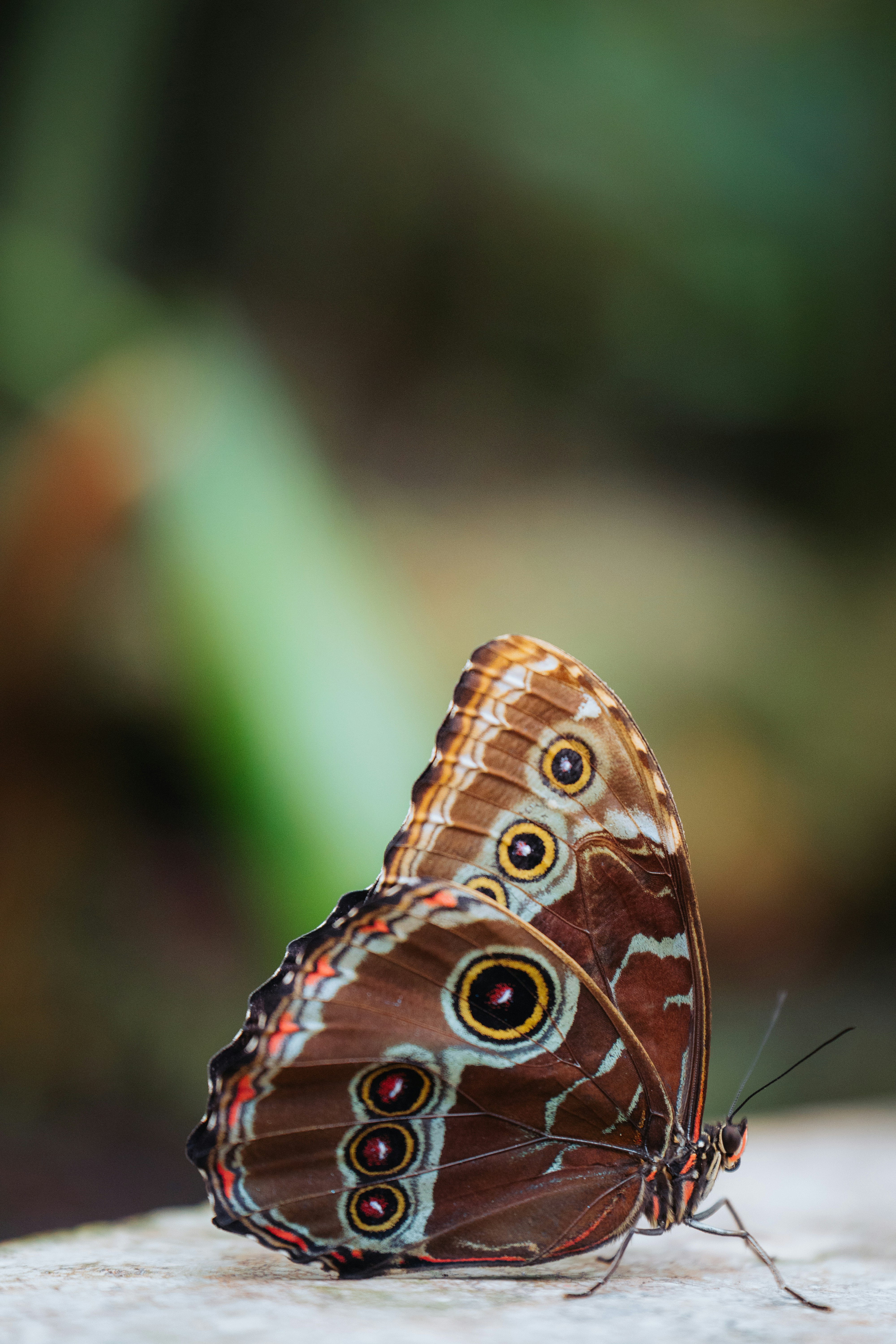 Photo by dermanuskript