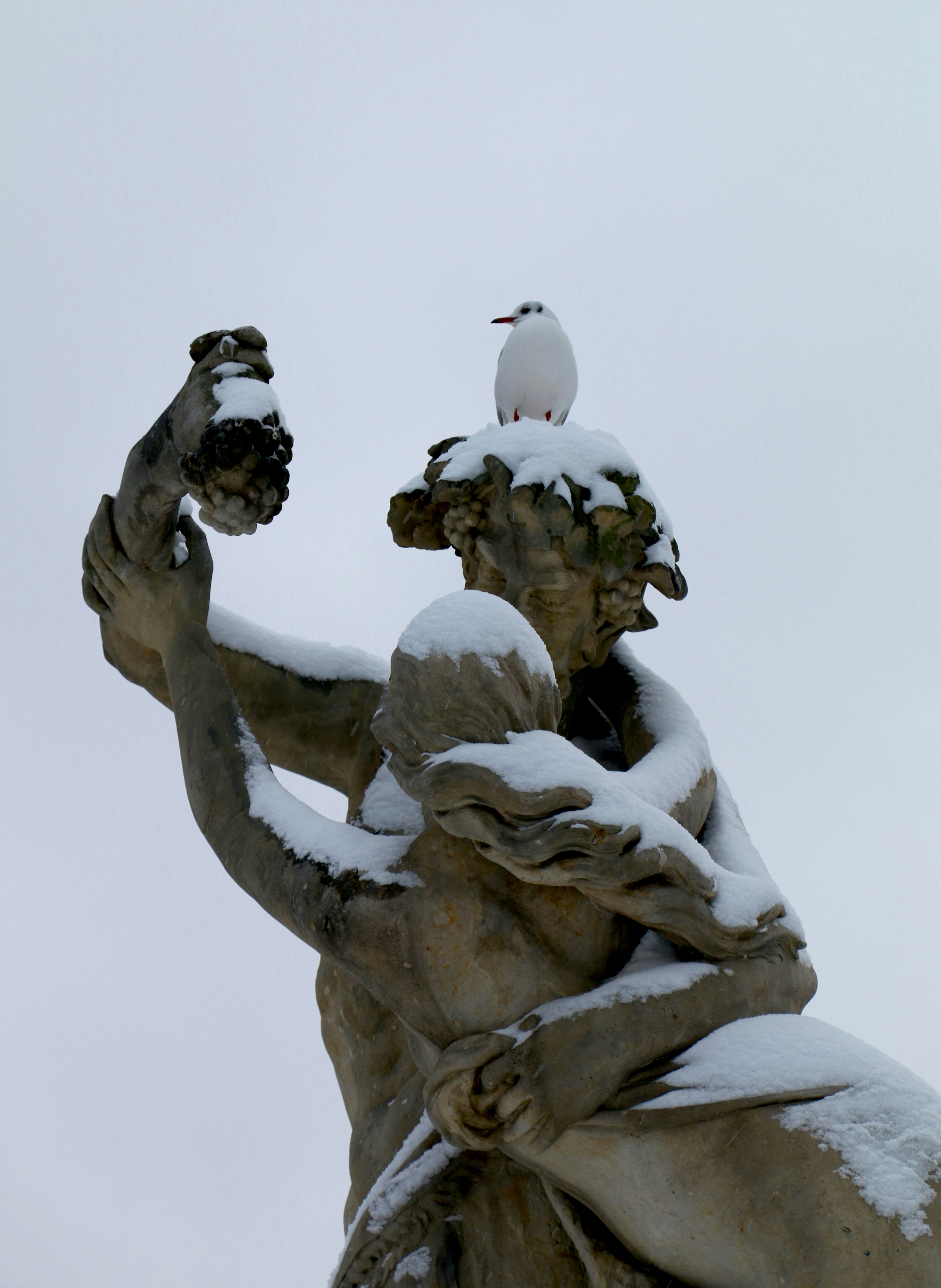 a statue with a seagull perched on top of it