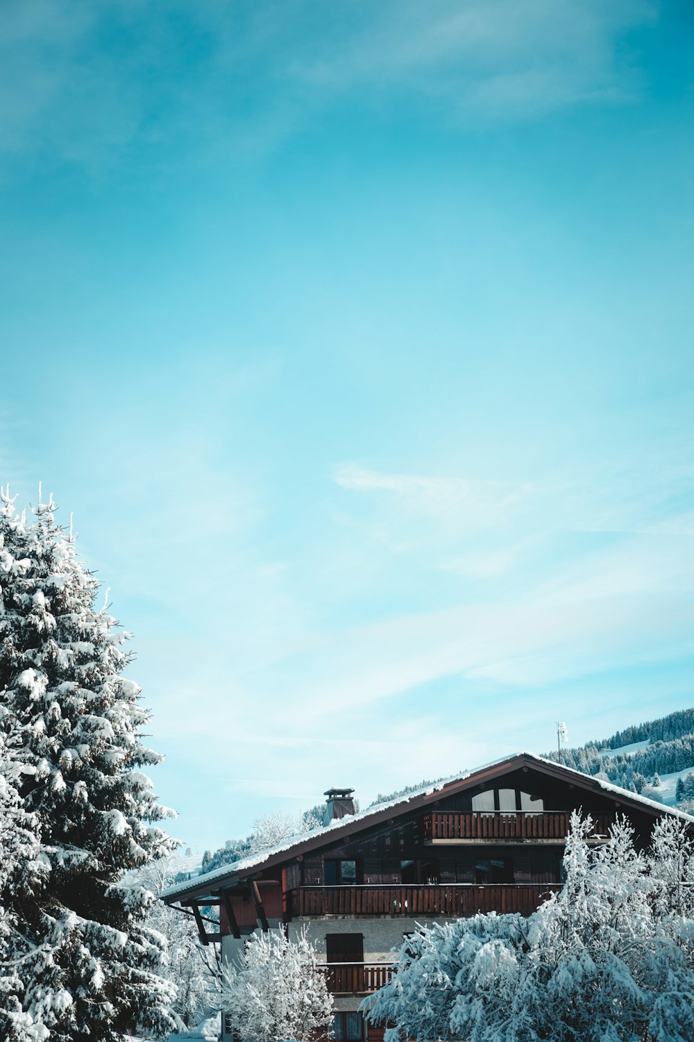 a house in the middle of a snowy field