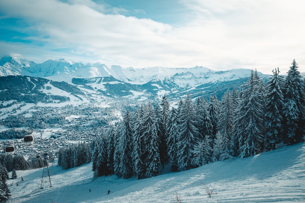 a snow covered mountain with trees in the foreground