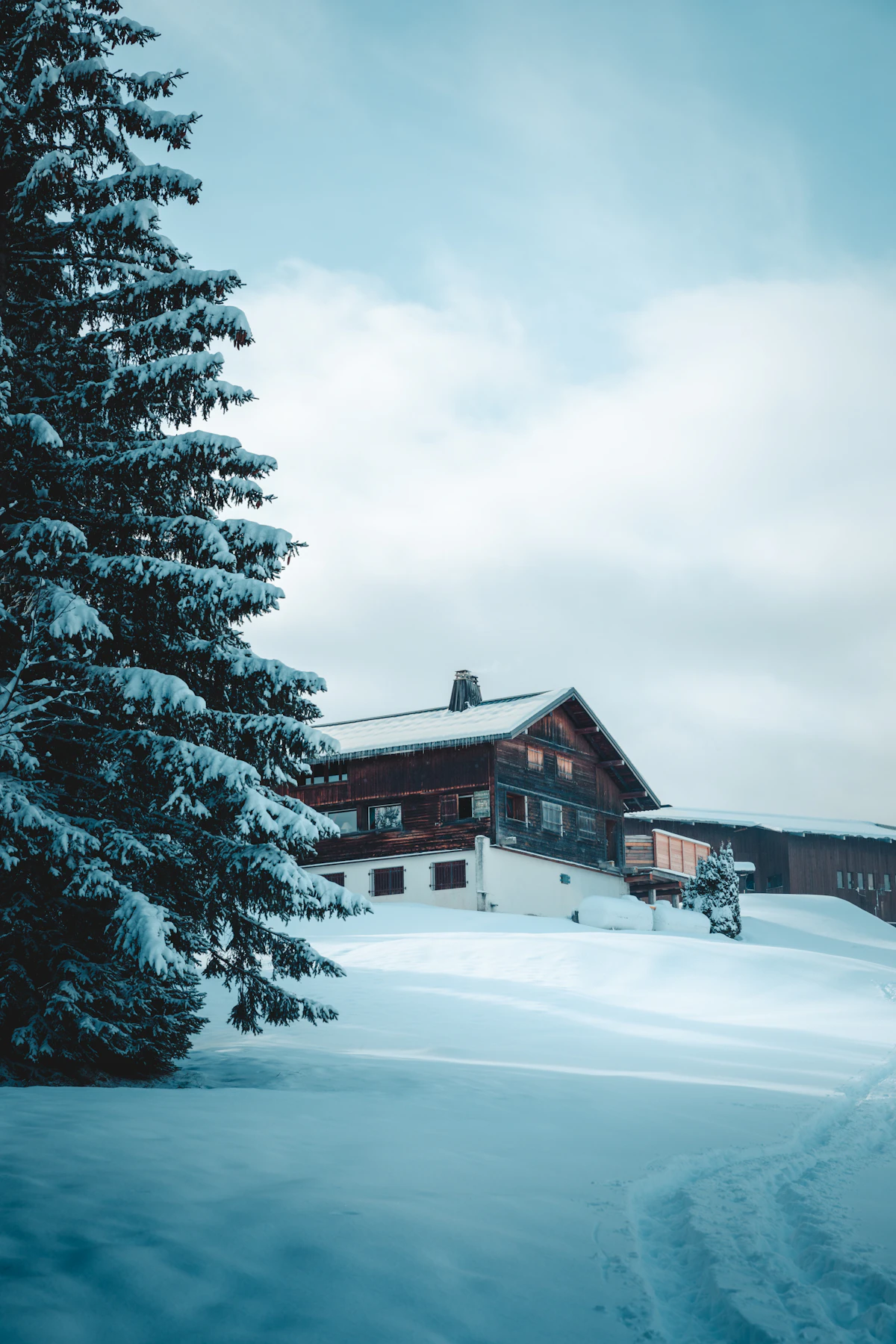 Mont Blanc range seen from the Megève area in winter