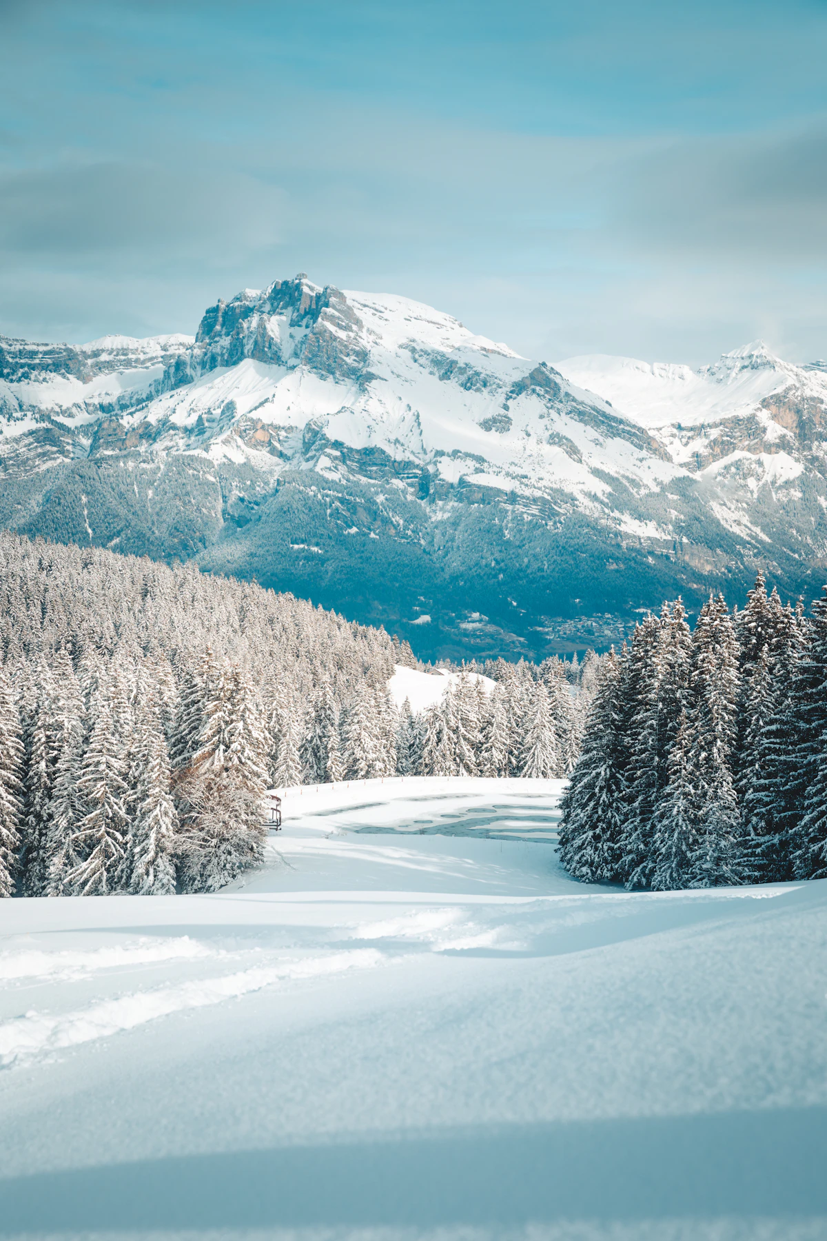 Alpine forest and snowy mountains near Megève