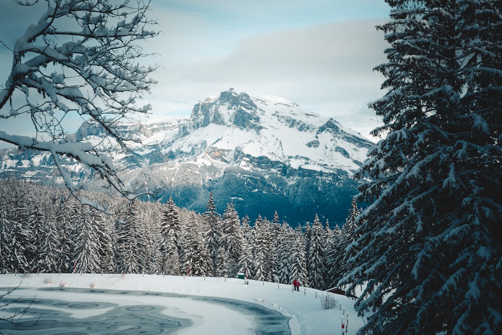 a snow covered mountain with trees and people skiing