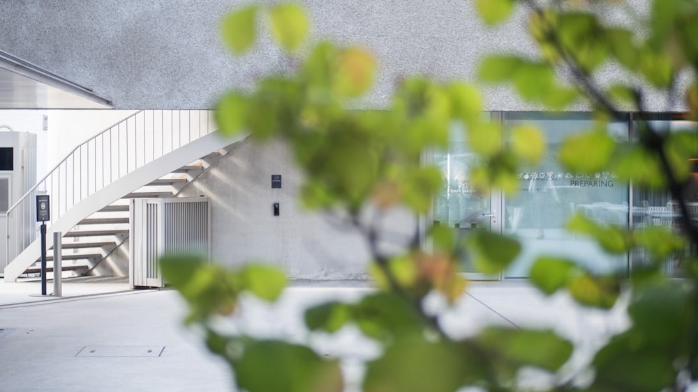 a white building with a staircase and a tree in front of it