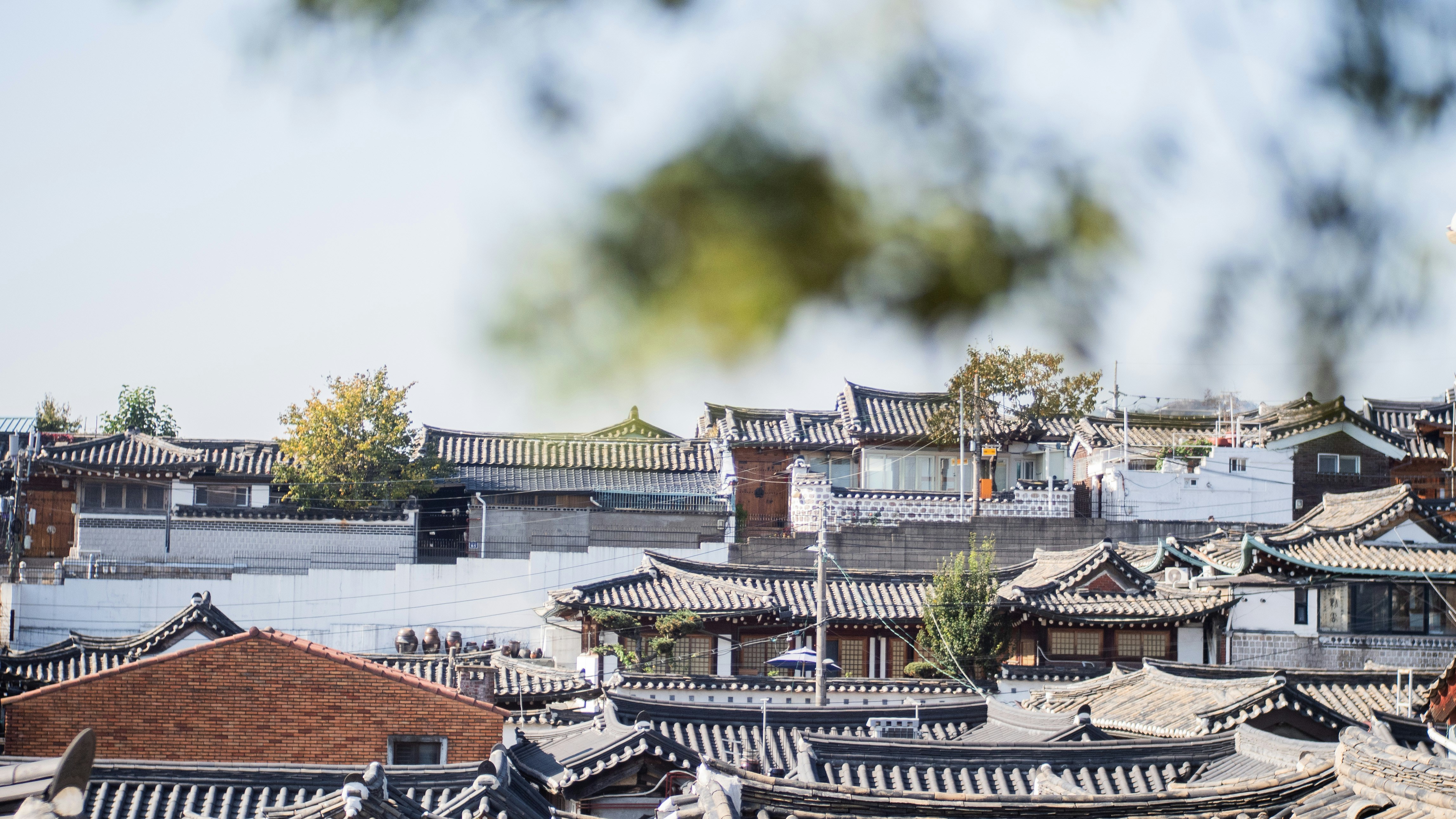 A view of a city with a lot of roofs