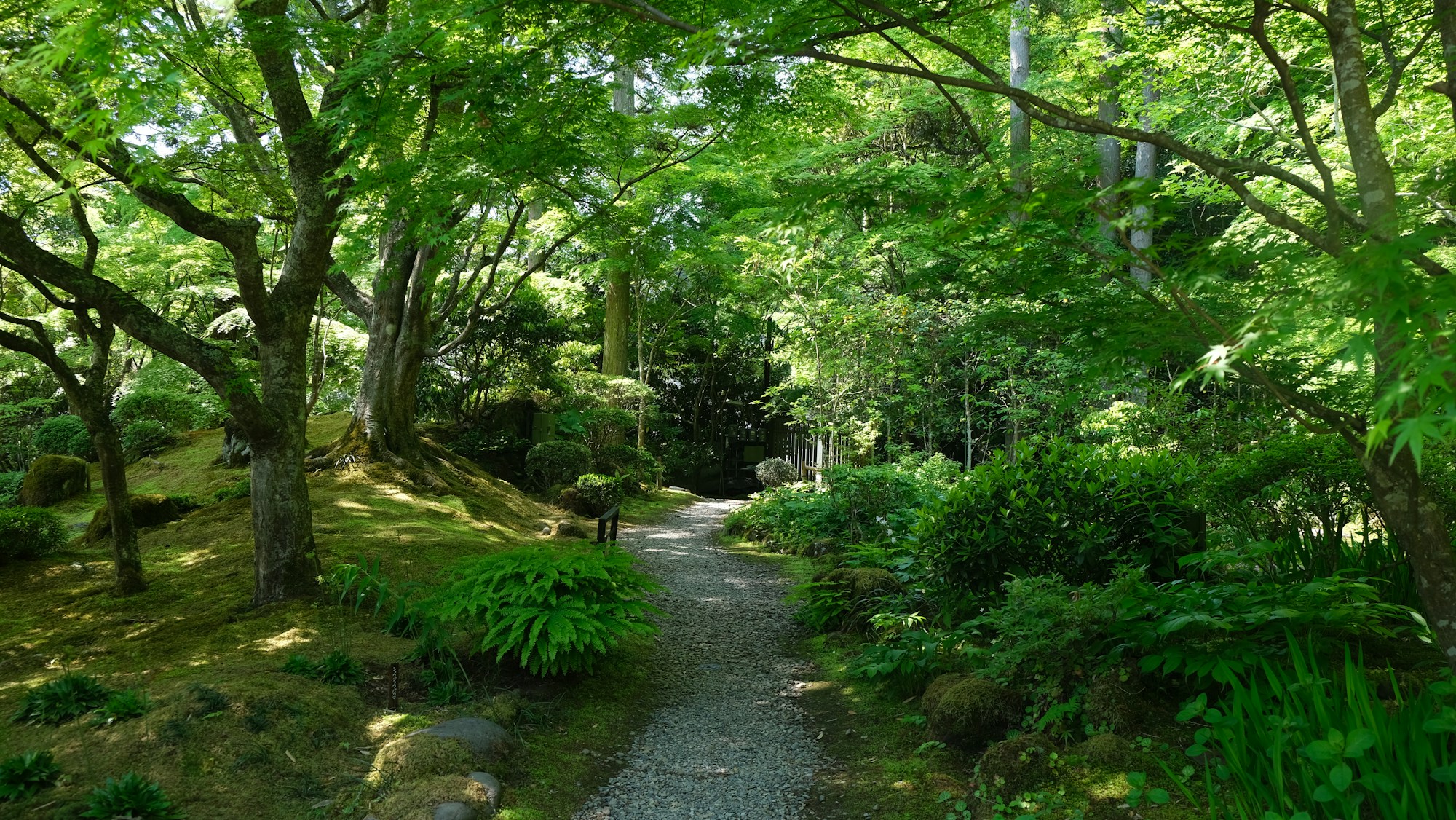 What to See in Matsushima: Travel Guide
