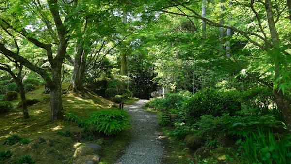 What to See in Matsushima: Travel Guide