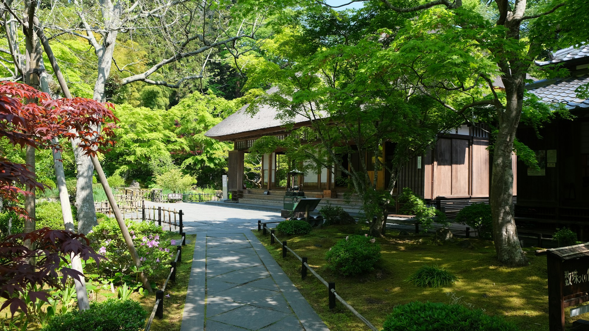 Best Times to Visit Matsushima: Weather Guide