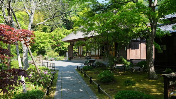 Exploring Matsushima's Authentic Cuisine
