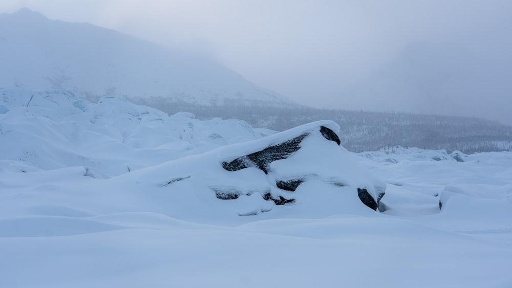 a pile of snow sitting on top of a snow covered ground