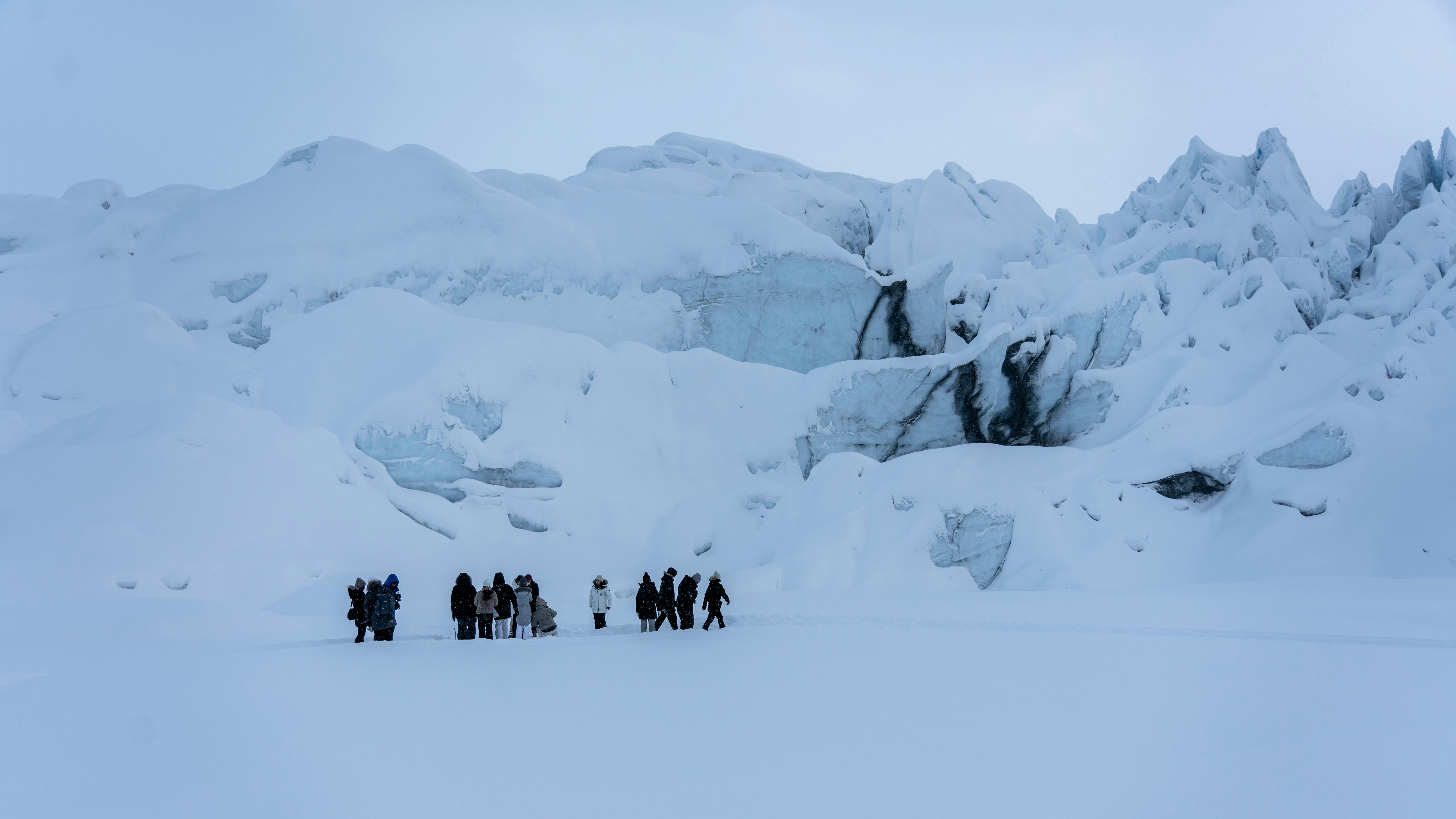 Discover the Magic of Alaska with a Guided Tour