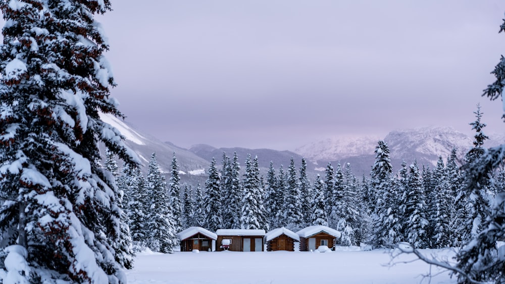 Una cabaña en medio de un bosque nevado