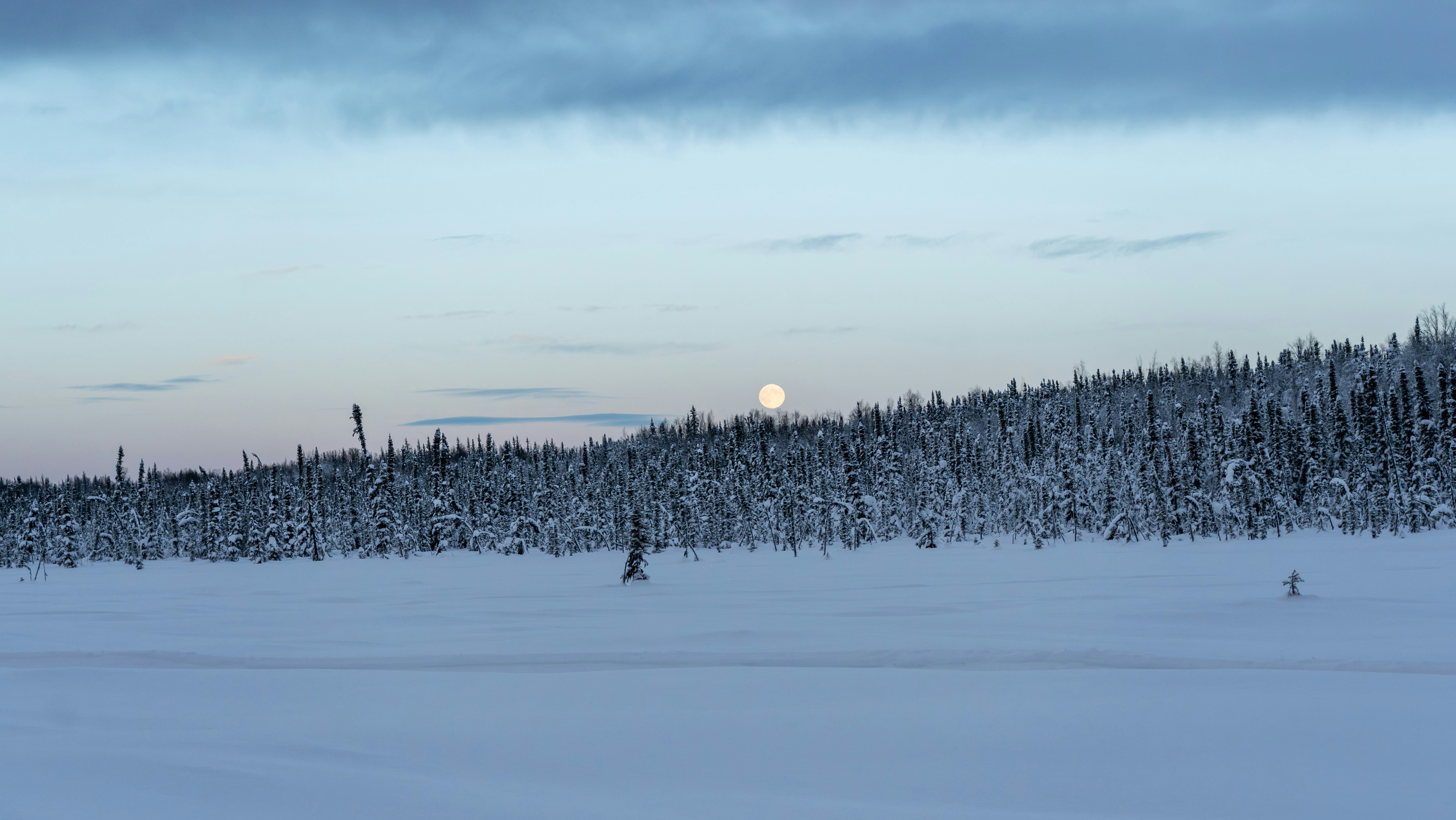 a snowy landscape with a full moon in the distance