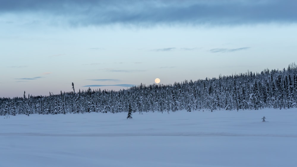 a snowy landscape with a full moon in the distance