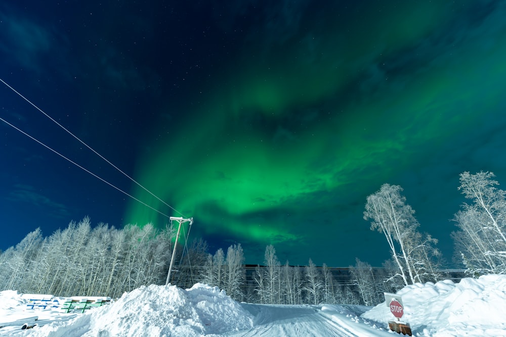 Uma aurora verde é vista no céu acima de uma estrada coberta de neve