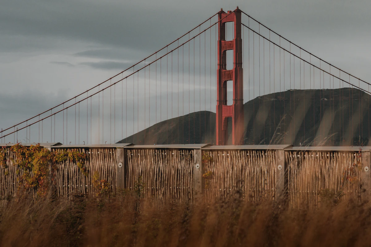 Golden Gate Bridge viewed from a green trail in the Presidio