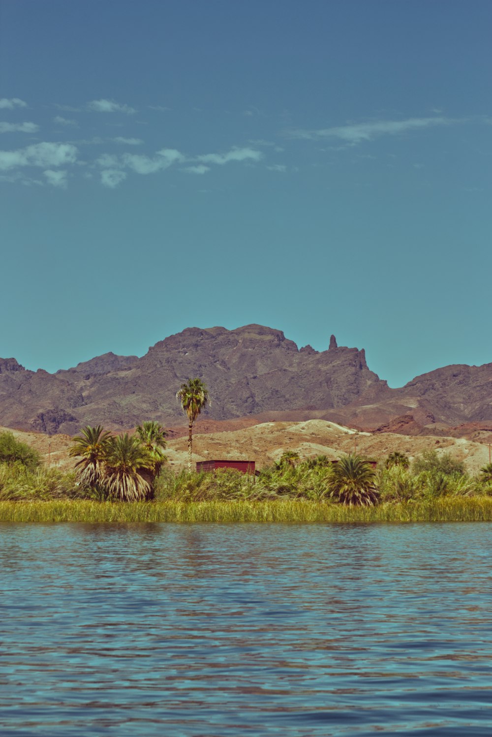 a body of water with palm trees and mountains in the background