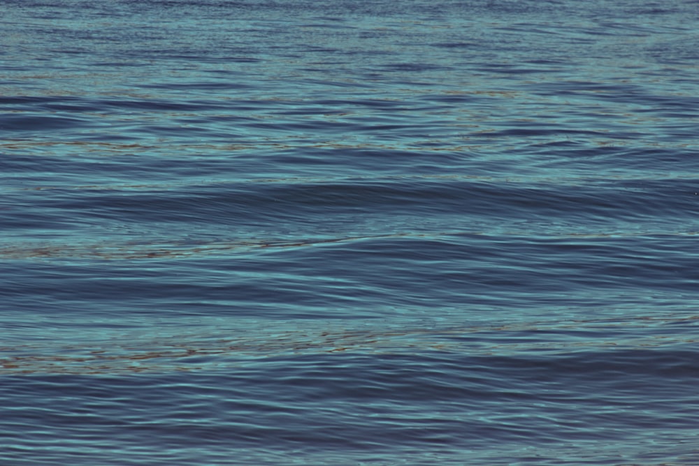 a man riding a surfboard on top of a wave in the ocean