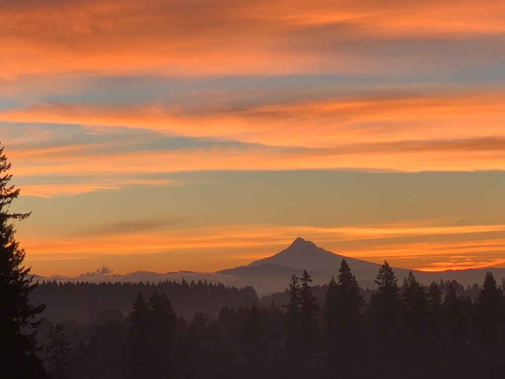 a sunset view of a mountain with trees in the foreground