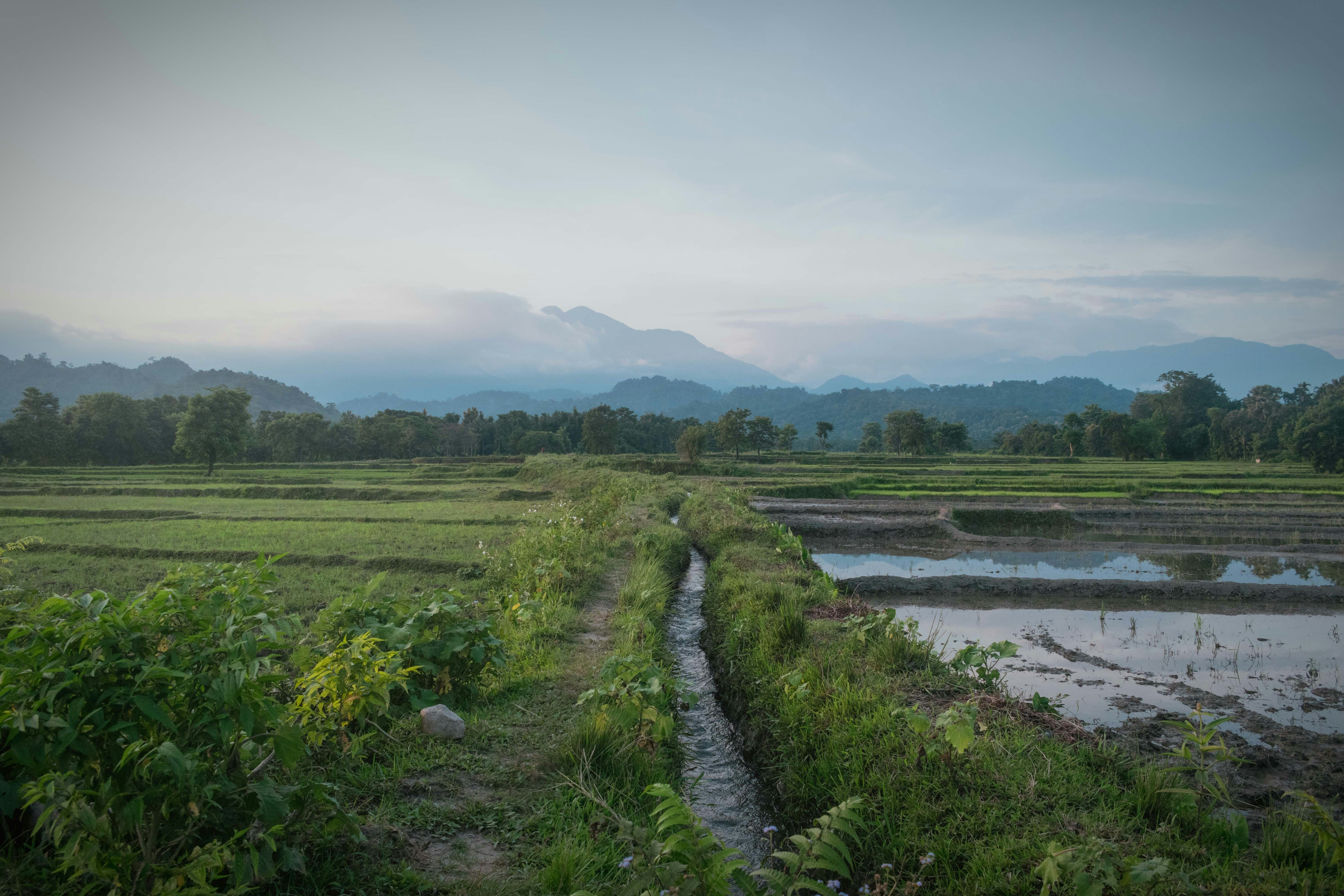 Photo by narzari_bhuban