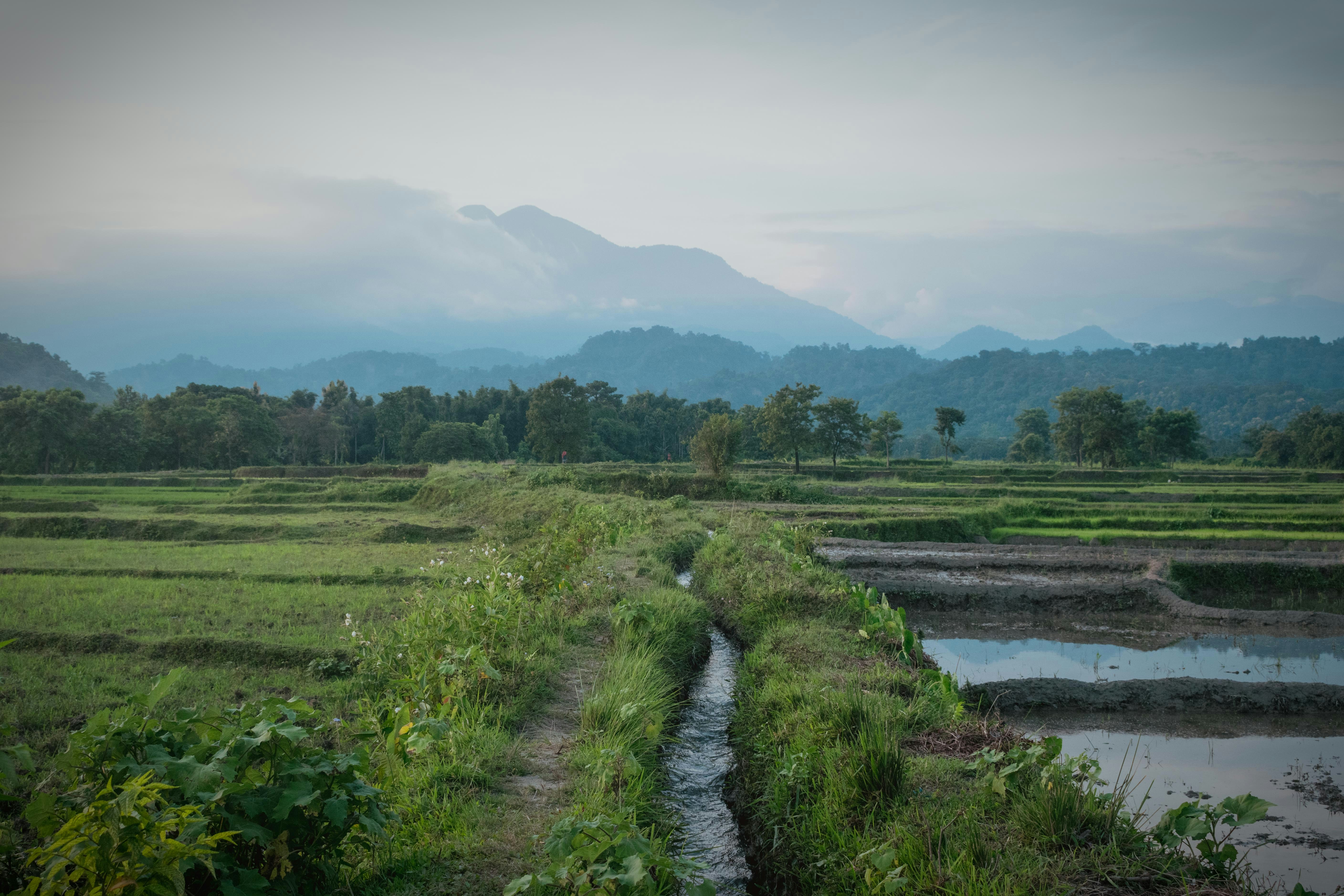 Photo by narzari_bhuban