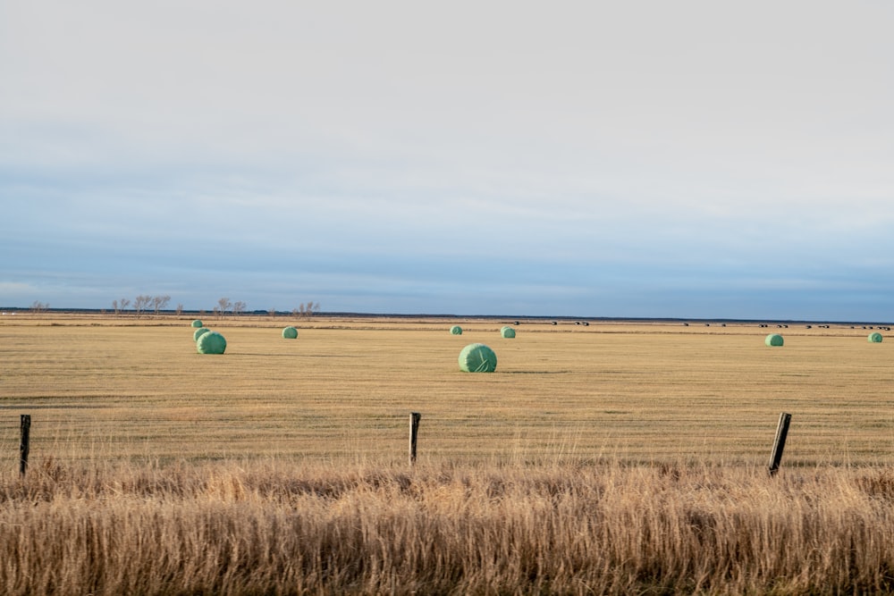 a field with hay bales in the distance