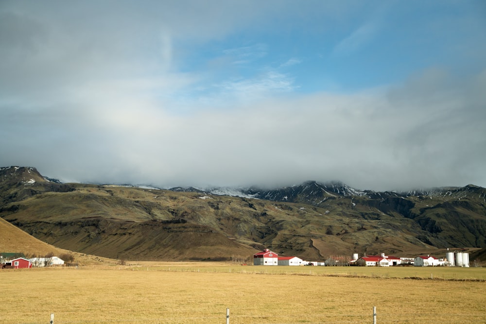 a field with a mountain in the background