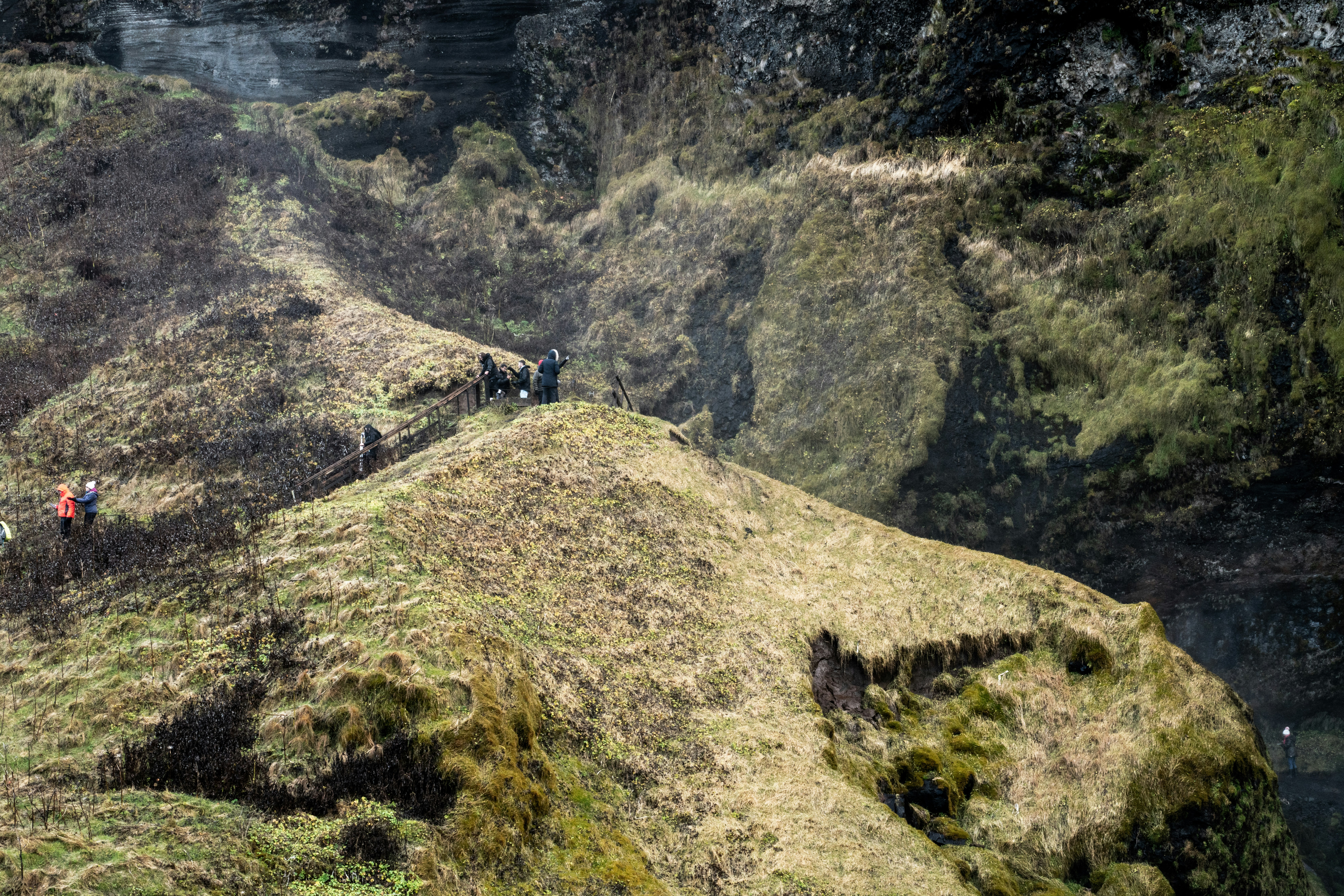 a group of people standing on top of a lush green hillside