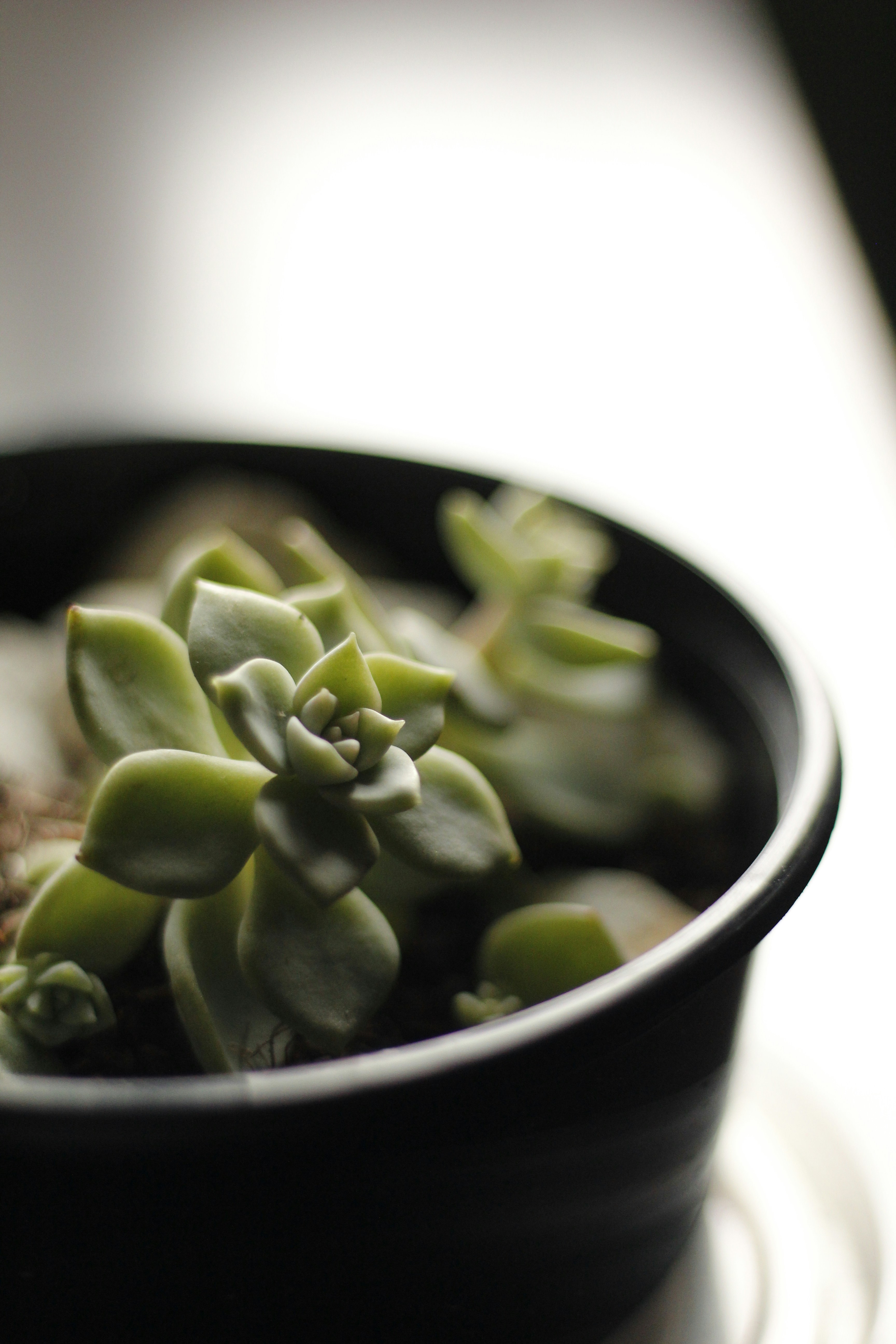 Photo by vipashabhardwaj