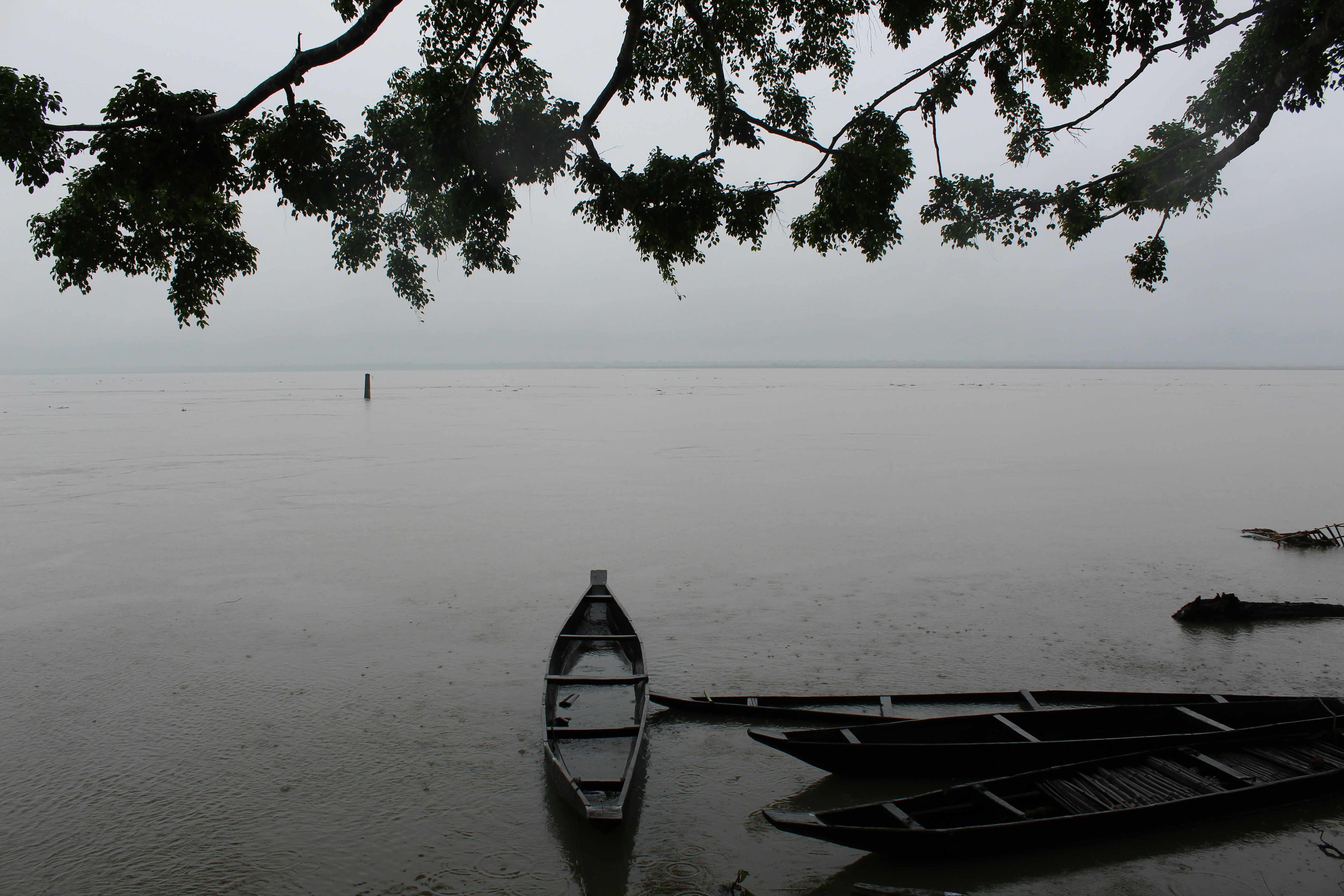Photo by vipashabhardwaj