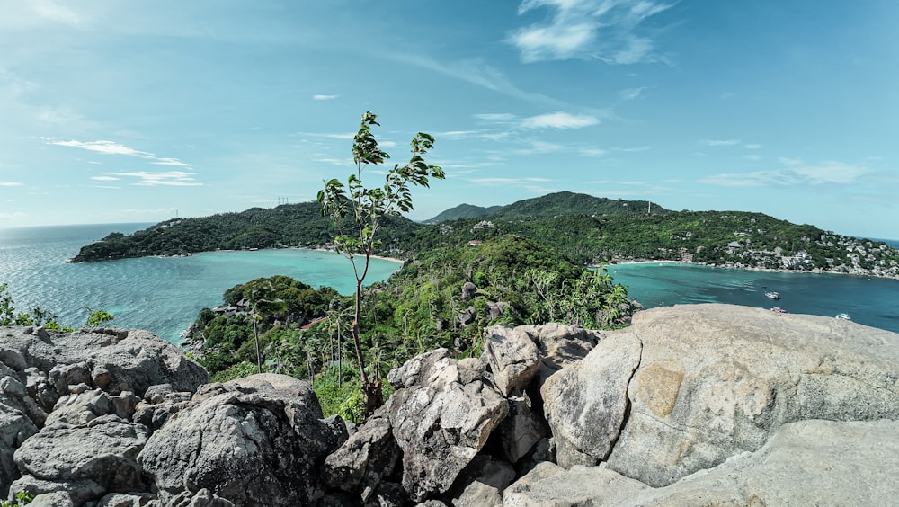 a view of a tropical island from a cliff