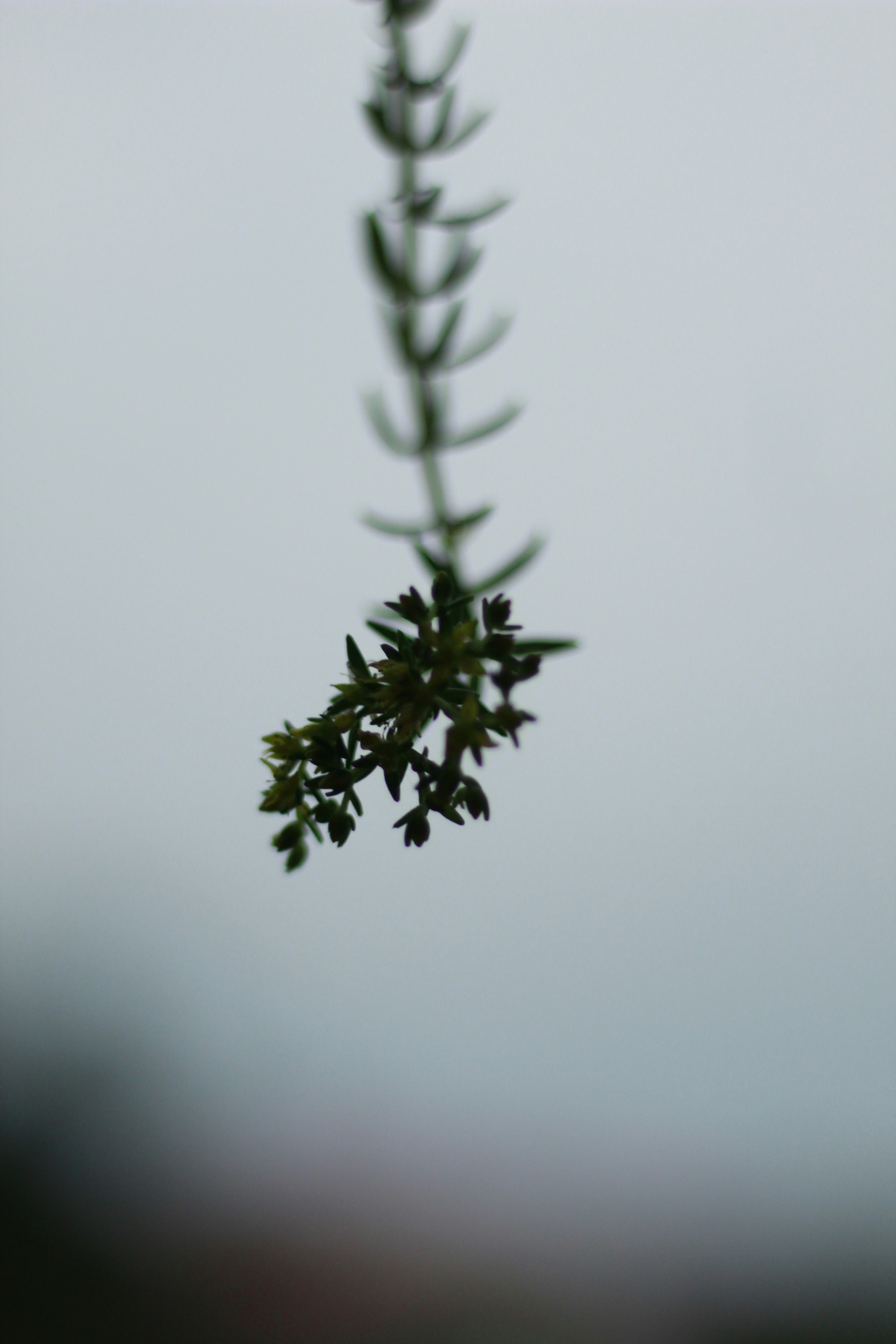 Photo by vipashabhardwaj