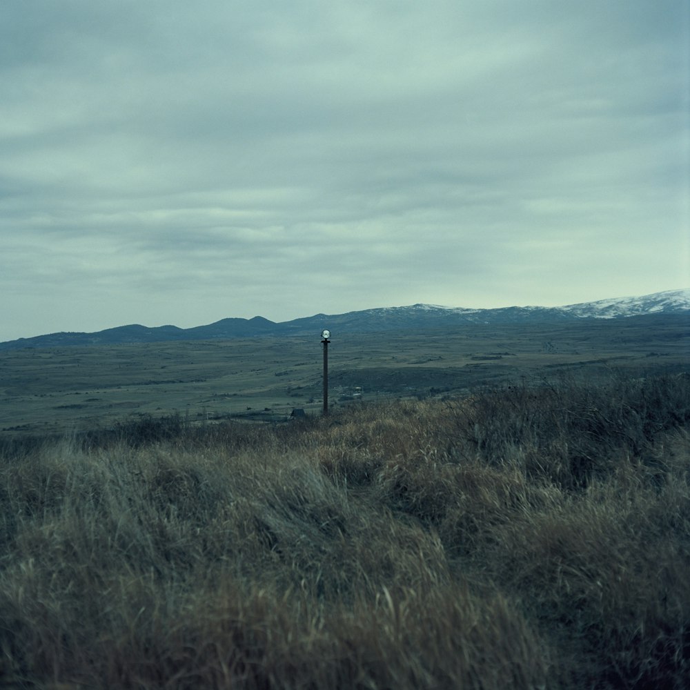 a field with a light pole in the middle of it