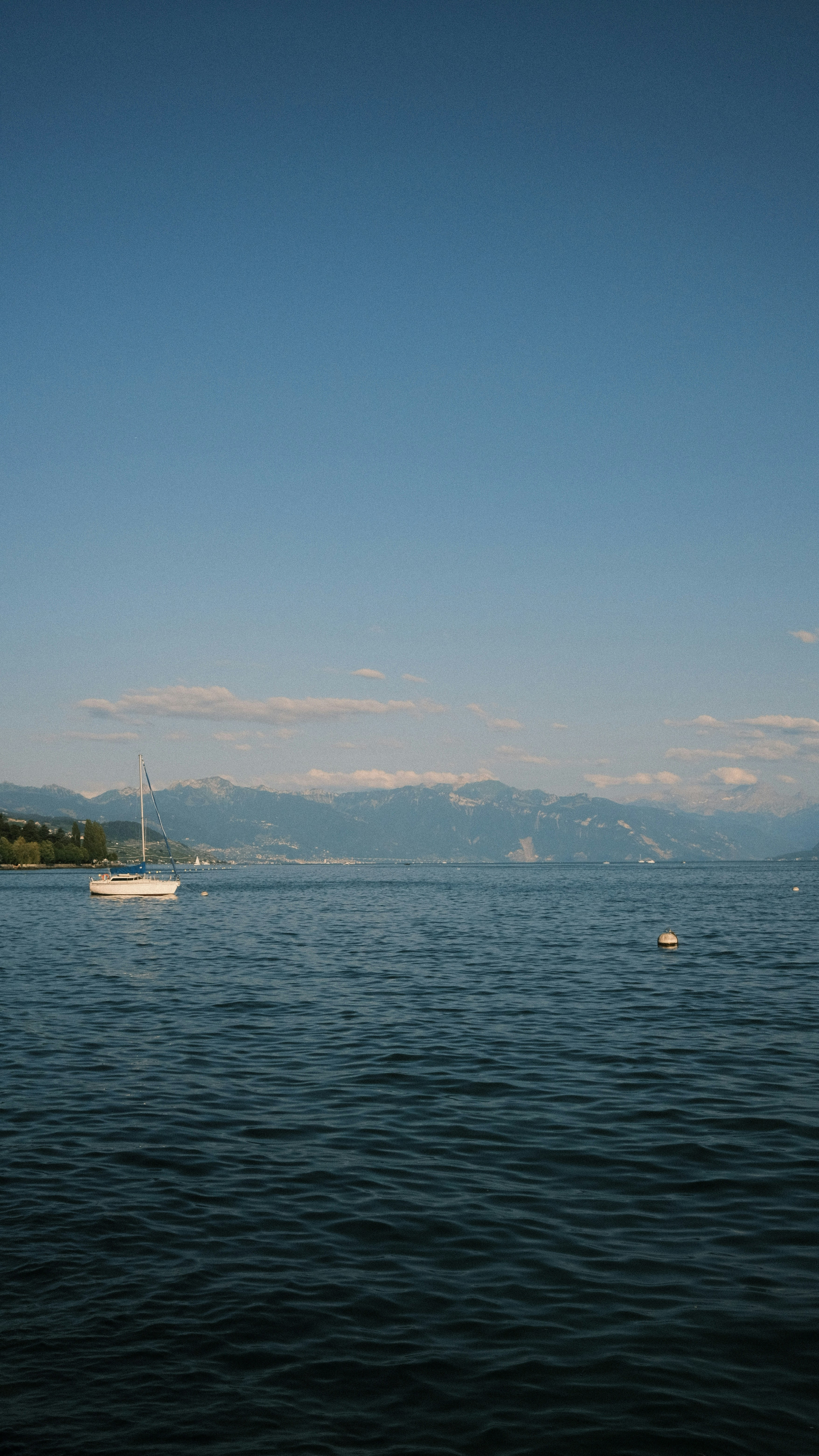 Photo by silverbasket