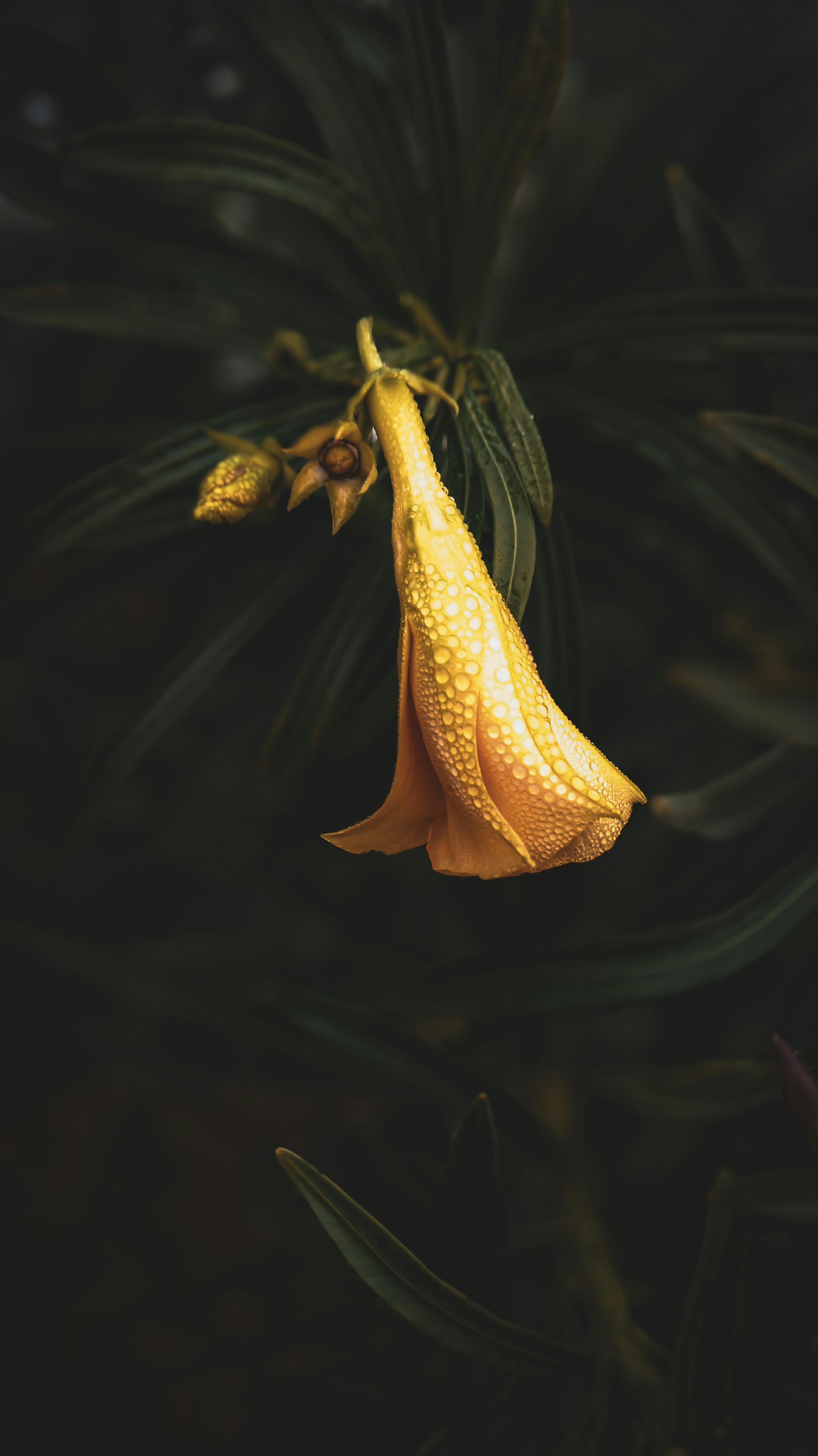 Photo by theclickfilms