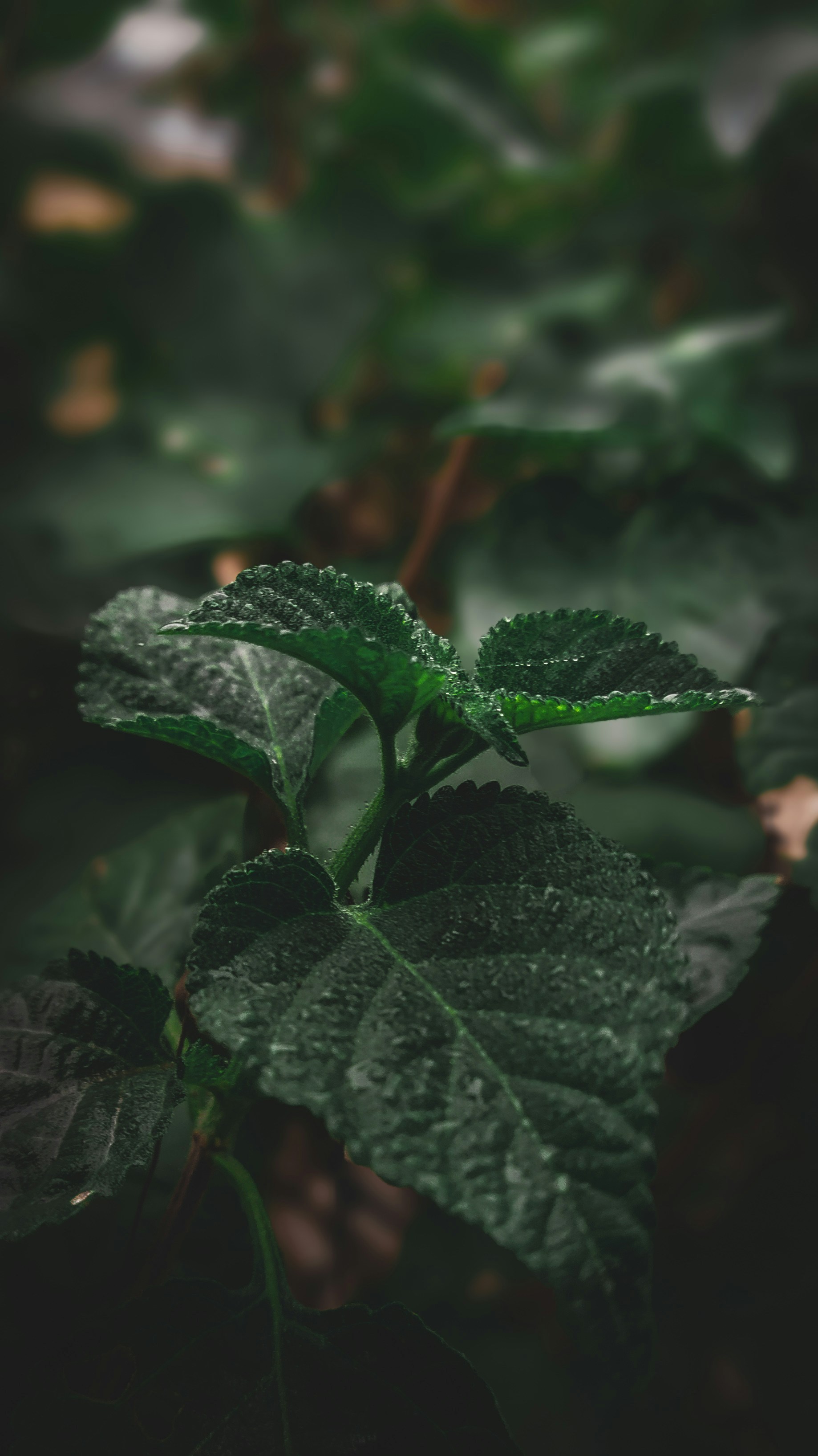 Photo by theclickfilms