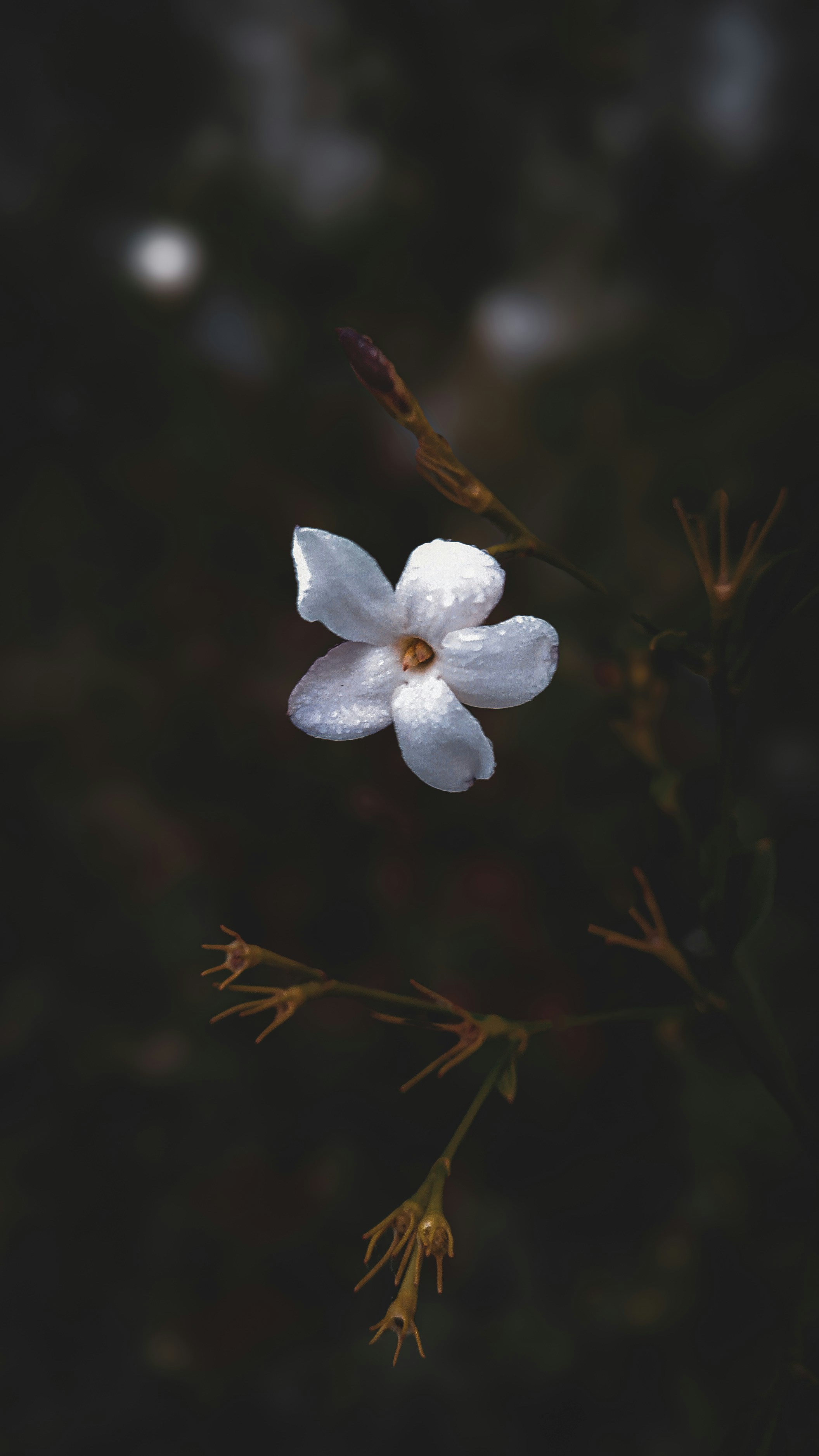 Photo by theclickfilms