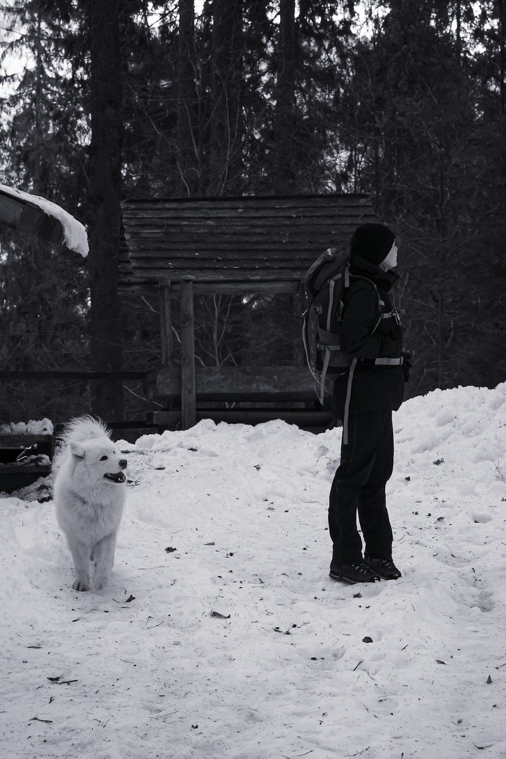 a person with a backpack and a dog in the snow